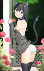 Rule 34 | 1girl, :o, against pillar, apollo (hu maple), ass, back, bell, black hair, black thighhighs, blue collar, blue eyes, blue ribbon, blurry, blurry background, bra, brown sweater, cat day, cat girl, cat tail, clenched hands, clothes down, collar, cowboy shot, flower, from behind, highres, jingle bell, light blush, long sleeves, looking at viewer, looking back, off shoulder, original, outdoors, panties, parted lips, red flower, red rose, ribbon, rose, short hair, solo, sweater, tail, tail ornament, tail ribbon, thighhighs, thighs, trellis, underwear, white bra, white panties