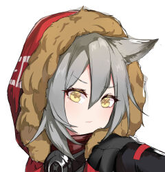 Rule 34 | 1girl, absurdres, animal ear fluff, animal ears, arknights, c309657344, closed mouth, fur-trimmed hood, fur trim, grey hair, hair between eyes, highres, hood, hood up, hooded jacket, jacket, looking at viewer, open clothes, open jacket, portrait, projekt red (arknights), red jacket, simple background, solo, v-shaped eyebrows, white background, yellow eyes