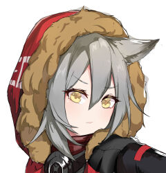 1girl absurdres animal_ear_fluff animal_ears arknights c309657344 closed_mouth fur-trimmed_hood fur_trim grey_hair hair_between_eyes highres hood hood_up hooded_jacket jacket looking_at_viewer open_clothes open_jacket portrait projekt_red_(arknights) red_jacket simple_background solo v-shaped_eyebrows white_background yellow_eyes