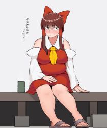 Rule 34 | 1girl, alternate eye color, bad id, bad twitter id, black eyes, blush, bow, breasts, brown footwear, brown hair, closed mouth, commentary, cookie (touhou), cup, detached sleeves, full body, hair bow, hair tubes, hakurei reimu, highres, large breasts, looking at viewer, mole, mole under mouth, ohasi, plump, red bow, red shirt, red skirt, reu (cookie), sandals, shirt, short hair with long locks, sidelocks, sitting, skirt, sleeveless, sleeveless shirt, solo, touhou, translation request, white sleeves, yunomi