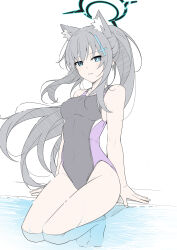 Rule 34 | 1girl, alternate hairstyle, animal ear fluff, animal ears, blue archive, blue eyes, competition swimsuit, cross, cross hair ornament, extra ears, grey hair, hair ornament, halo, highleg, highleg swimsuit, highres, inverted cross, long hair, masabodo, mismatched pupils, multicolored clothes, multicolored swimsuit, official alternate costume, one-piece swimsuit, partially submerged, ponytail, shiroko (blue archive), shiroko (swimsuit) (blue archive), shiroko terror (blue archive), sitting, swimsuit, two-tone swimsuit, wolf ears