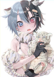 Rule 34 | + +, 1girl, absurdres, animal, animal ears, animal print, bandaid, bikini, biting, black gloves, black hair, blood, blue eyes, blue hair, chinese zodiac, commentary request, cub, dancho (dancyo), ear piercing, earrings, gloves, hair ornament, hairclip, heterochromia, highres, holding, holding animal, indie virtual youtuber, injury, jewelry, multicolored hair, new year, open mouth, original, piercing, pink eyes, scarf, scratches, sharp teeth, swimsuit, teeth, tiger, tiger cub, tiger print, two-tone hair, virtual youtuber, white tiger, year of the tiger