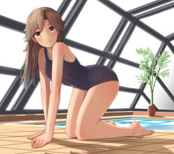 Rule 34 | 10s, 1girl, absurdres, all fours, arashio (kancolle), arm support, bad id, bad pixiv id, barefoot, blue one-piece swimsuit, brown eyes, brown hair, full body, highres, indoor pool, indoors, kantai collection, long hair, one-piece swimsuit, osananajimi neko, plant, pool, rei no pool, school swimsuit, solo, swimsuit, window