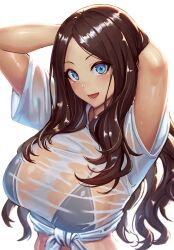 Rule 34 | 1girl, arms behind head, arms up, bikini, black bikini, blue eyes, blush, breasts, brown hair, fate/grand order, fate (series), forehead, highres, large breasts, leonardo da vinci (fate), long hair, looking at viewer, open mouth, parted bangs, ranma (kamenrideroz), see-through, shirt, smile, solo, swimsuit, tied shirt, wet, wet clothes, white shirt