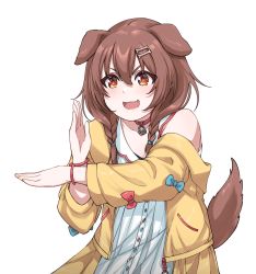 Rule 34 | 1girl, animal ears, bare shoulders, bone hair ornament, braid, brown eyes, brown hair, collar, commentary, disco brando, dog ears, dog girl, dog tail, dress, english commentary, fang, hair ornament, highres, hololive, inugami korone, inugami korone (1st costume), jacket, medium hair, nail polish, off shoulder, open mouth, red collar, sidelocks, simple background, smile, solo, tail, twin braids, upper body, v-shaped eyebrows, virtual youtuber, white background, white dress, yellow jacket, yellow nails