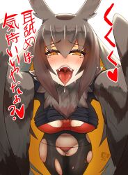 Rule 34 | animal ears, bird ears, black pantyhose, blush, bra, breasts, brown feathers, brown hair, brown wings, clothes lift, colored inner hair, commentary request, fangs, feathered wings, feathers, gaikiken, hair between eyes, highres, large breasts, long hair, looking at viewer, lowleg, lowleg panties, multicolored hair, navel, neck fur, open mouth, orange hair, original, panties, pantyhose, pov, red bra, red panties, saliva, shirt lift, simple background, tongue, torn clothes, torn pantyhose, translation request, underwear, very long hair, white background, winged arms, wings, yellow eyes