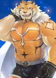 Rule 34 | 1boy, animal ears, bara, bodysuit, bulge, cape, covered abs, cowboy shot, facial hair, fuga9, fur trim, furry, furry male, gloves, goatee, large pectorals, live a hero, male focus, muscular, muscular male, no mask, orange bodysuit, orange fur, pectorals, ryekie (live a hero), short hair, smile, solo, tiger boy, tiger ears, two-tone fur, white cape