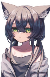 Rule 34 | 1girl, absurdres, animal ear fluff, animal ears, black hair, breasts, cat ears, cat girl, cleavage, collarbone, commentary request, green eyes, hair between eyes, highres, long hair, long sleeves, looking at viewer, low twintails, original, sidelocks, simple background, small breasts, solo, squallea, strap slip, twintails, white background