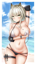 Rule 34 | 1girl, absurdres, animal ear fluff, animal ears, arknights, arm strap, arm up, armpits, bare shoulders, blue sky, blush, breasts, cat ears, cloud, cowboy shot, day, grey eyes, grey hair, groin, highres, kal&#039;tsit (arknights), large breasts, looking at viewer, namikare, navel, outdoors, short hair, sky, solo, standing, stomach, syringe, thigh strap, thighs