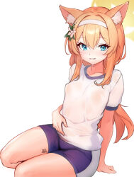 Rule 34 | 1girl, animal ears, arm support, blue archive, blue eyes, blue shorts, blush, breasts, collarbone, commentary request, flower, fox ears, fox girl, gym shirt, gym shorts, hair between eyes, hair flower, hair ornament, hairband, halo, highres, long hair, looking at viewer, mari (blue archive), mari (track) (blue archive), official alternate costume, orange hair, parted lips, shirt, short shorts, short sleeves, shorts, simple background, sitting, small breasts, solo, sweat, teeth, white background, white flower, white hairband, white shirt, windon, yellow halo, yokozuwari