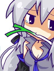 Rule 34 | 1girl, ahoge, breasts, chibi, female focus, md5 mismatch, meme, mouth hold, resolution mismatch, silver hair, simple background, solo, source larger, spring onion, vocaloid, yowane haku