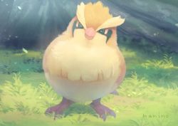 Rule 34 | animal focus, bad id, bad pixiv id, bird, commentary request, creatures (company), day, full body, game freak, gen 1 pokemon, grass, head tilt, highres, looking at viewer, manino (mofuritaionaka), nintendo, no humans, outdoors, pidgey, pokemon, pokemon (creature), signature, solo, standing