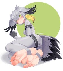 Rule 34 | 1girl, absurdres, ass, bird tail, black gloves, black hair, blush, breasts, closed mouth, commentary, commission, english commentary, feet, fingerless gloves, foot focus, foreshortening, gloves, green background, green eyes, grey hair, grey pantyhose, grey shirt, grey shorts, hair between eyes, hand up, head wings, highres, kemono friends, legs, legs together, looking at viewer, looking back, lying, medium breasts, medium hair, multicolored hair, no shoes, on side, pantyhose, shadow, shirt, shoebill (kemono friends), short sleeves, shorts, simple background, soles, solo, staerk, stirrup legwear, streaked hair, tail, thighs, toeless legwear, toenails, toes, twitter username, two-tone background, white background, wings
