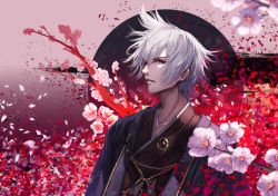 Rule 34 | 1boy, bad id, bad pixiv id, cherry blossoms, flower, grey eyes, japanese clothes, jname, looking at viewer, male focus, original, parted lips, petals, solo, upper body, white hair, wind