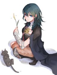 Rule 34 | 1girl, :3, animal, black footwear, black hair, black shorts, blue eyes, boots, brown pantyhose, byleth (female) (fire emblem), byleth (fire emblem), cat, cattail, closed mouth, fire emblem, fire emblem: three houses, full body, hair between eyes, high heel boots, high heels, holding, knee boots, pantyhose under shorts, long hair, nintendo, pantyhose, plant, print pantyhose, robaco, short shorts, shorts, simple background, smile, solo, squatting, straight hair, white background