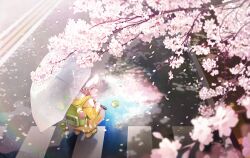 00suger001 1girl after_rain ahoge animal_bag backpack bag blurry boots branch character_charm charm_(object) cherry_blossoms depth_of_field falling_petals frog from_behind green_bag hair_between_eyes highres holding holding_umbrella kermit_the_frog long_sleeves looking_at_viewer looking_back manhole_cover medium_hair original outdoors petals pink_petals puddle purple_eyes raincoat reflection reflective_water road sleeves_past_wrists solo squatting street teruterubouzu thermos transparent transparent_umbrella umbrella wet white_hair wide_shot yellow_footwear yellow_raincoat