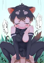 Rule 34 | 1boy, animal ears, assertive female, black hair, blush, bow, bowtie, breasts, brown hair, censored, clothed sex, cowgirl position, detached sleeves, extra ears, fang, girl on top, gloves, happy sex, hetero, highres, kemono friends, kemono friends 3, large breasts, masuyama ryou, mosaic censoring, multicolored hair, nipples, one breast out, open mouth, penis, pov, pussy, sex, short hair, solo focus, spread legs, squatting cowgirl position, straddling, sweat, tail, tasmanian devil (kemono friends), tasmanian devil ears, tasmanian devil tail, thighhighs, torogao, vaginal