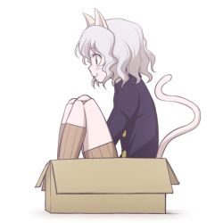 Rule 34 | :3, androgynous, animal ears, blush, box, cardboard box, cat ears, cat tail, doll joints, gender request, hunter x hunter, in box, in container, joints, kneehighs, neferpitou, ogry ching, other focus, profile, short hair, socks, solo, tail, white hair