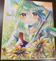 Rule 34 | 1girl, art tools in frame, closed mouth, commentary request, flower, green hair, highres, holding, holding umbrella, kazami yuuka, looking at viewer, outdoors, photo (medium), red eyes, smile, solo, sunflower, torajirou (toraneko zirou), touhou, traditional media, umbrella