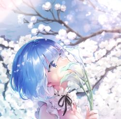 Rule 34 | 1girl, bare shoulders, black ribbon, blue eyes, blue hair, breasts, cleavage, day, detached collar, flower, frills, from side, hair ornament, hairclip, holding, holding flower, looking away, looking up, medium breasts, melings (aot2846), outdoors, re:zero kara hajimeru isekai seikatsu, rem (re:zero), ribbon, short hair, solo, tree, upper body, white flower, x hair ornament