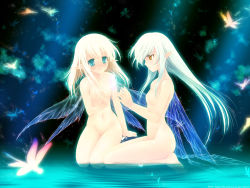 Rule 34 | 2girls, barefoot, blonde hair, blue eyes, bug, cupping hands, dark, dragonfly, fairy, flat chest, glowing, highres, insect, kneeling, multiple girls, nude, own hands together, pointy ears, profile, shallow water, sitting, touto seiro, wallpaper, water, white hair, wings, yellow eyes
