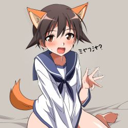 Rule 34 | 1girl, animal ears, blush, brown eyes, brown hair, collarbone, dog ears, dog tail, dress, grey background, miyafuji yoshika, open mouth, sailor dress, short hair, simple background, sketch, smile, solo, strike witches, tail, tricky 46, world witches series