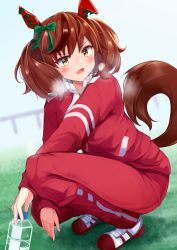 Rule 34 | 1girl, animal ears, blurry, blurry background, blush, bottle, brown eyes, brown hair, commentary request, depth of field, hair between eyes, heavy breathing, highres, holding, holding bottle, horse ears, horse girl, horse tail, irohara, jacket, nice nature (umamusume), open mouth, outdoors, pants, red jacket, red pants, shoes, solo, squatting, sweat, tail, tail raised, track jacket, track pants, track suit, umamusume, v-shaped eyebrows, white footwear