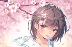 Rule 34 | 1girl, blurry, blurry background, blush, branch, brown hair, cherry blossoms, collarbone, day, depth of field, flower, long hair, mouth hold, nakahara yoshi, original, outdoors, pink eyes, pink flower, sailor collar, shade, short hair, solo, spring (season), sunlight, twitter username, upper body, white sailor collar