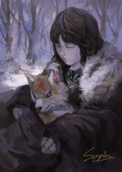 Rule 34 | 1boy, a song of ice and fire, absurdres, bad id, bad pixiv id, bob cut, bran stark, brown hair, cape, dog, closed eyes, fur trim, highres, male focus, puppy, realistic, red hair, riko233, signature, snow, summer (a song of ice and fire), wolf