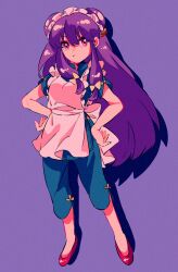 Rule 34 | 1990s (style), 1girl, apron, chinese clothes, highres, long hair, purple hair, ranma 1/2, red eyes, retro artstyle, rumic 0620, shampoo (ranma 1/2)