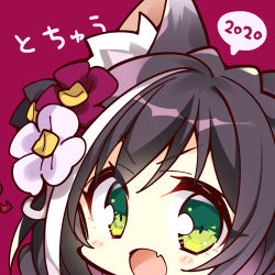Rule 34 | 1girl, 2020, animal ear fluff, animal ears, blush, brown hair, cat ears, chibi, commentary request, fang, flower, green eyes, hair flower, hair ornament, karyl (princess connect!), komowata haruka, looking at viewer, lowres, multicolored hair, open mouth, portrait, princess connect!, red background, skin fang, solo, swept bangs, two-tone hair, v-shaped eyebrows, white hair