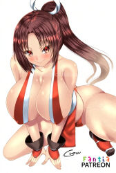Rule 34 | 1girl, breasts, fatal fury, huge breasts, long hair, ponytail, shiranui mai, solo