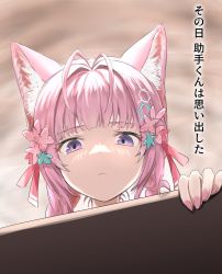 Rule 34 | 1girl, animal ear fluff, animal ears, antenna hair, closed mouth, commentary request, hair intakes, hakui koyori, highres, hololive, landl, long hair, looking at viewer, pink hair, purple eyes, shaded face, solo, translation request, virtual youtuber, wolf ears, wolf girl