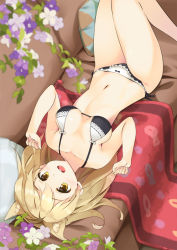Rule 34 | 1girl, :d, animal ears, bare arms, bare legs, bare shoulders, black bra, black panties, blonde hair, blush, bow, bow panties, bra, breasts, breasts apart, brown eyes, cat ears, collarbone, commentary request, couch, flower, kutata, long hair, looking at viewer, lying, medium breasts, navel, on back, on couch, open mouth, original, panties, pillow, purple flower, round teeth, smile, solo, teeth, underwear, underwear only, upper teeth only, white flower