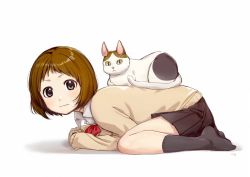 Rule 34 | 1girl, animal focus, bow, bowtie, brown hair, cardigan, cat, cat day, collared shirt, commentary request, from side, grey eyes, grey socks, kawai makoto, looking at viewer, original, plantar flexion, red bow, red bowtie, shirt, short hair, signature, simple background, socks, solo, white background, white shirt, wing collar