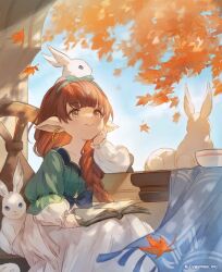 Rule 34 | 1girl, :3, alternate costume, autumn leaves, blue eyes, book, bow, braid, brown eyes, brown hair, casual, chair, cup, dress, earrings, granblue fantasy, haaselia, hair ribbon, harvin, head rest, holding, holding cup, jewelry, long dress, long hair, official art, pointy ears, rabbit, ribbon, single braid, sitting, smile, solo, table, tree, white rabbit (animal), window