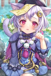Rule 34 | 1girl, animal ears, bead necklace, beads, blurry, blush, cape, cat ears, cat girl, cat tail, chinese clothes, coin hair ornament, commentary request, depth of field, flower, genshin impact, hair between eyes, hair ornament, hat, highres, jewelry, jiangshi, kemonomimi mode, lily pad, long hair, long sleeves, looking at viewer, necklace, nyamaso, ofuda, parted lips, paw pose, pond, purple eyes, purple hair, qingdai guanmao, qiqi (genshin impact), rock, shorts, sidelocks, sitting, sitting on rock, solo, tail