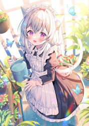 Rule 34 | 1girl, :d, animal, animal ears, apron, black dress, blush, bug, butterfly, cat ears, cat girl, cat tail, commentary request, day, dress, fang, flower, flower pot, frilled apron, frilled dress, frills, hair between eyes, highres, holding, ikari (aor3507), indoors, insect, juliet sleeves, long hair, long sleeves, looking at viewer, low twintails, maid, maid apron, maid headdress, mole, mole under eye, open mouth, original, puffy sleeves, purple eyes, red flower, smile, solo, standing, sunlight, tail, twintails, very long hair, watering can, white apron, white hair