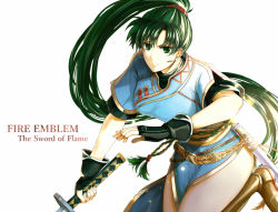 Rule 34 | 1girl, breasts, delsaber, dress, fingerless gloves, fire emblem, fire emblem: the blazing blade, fire emblem heroes, gloves, green eyes, green hair, high ponytail, jewelry, long hair, looking at viewer, lyn (fire emblem), nintendo, ponytail, solo, sword, very long hair, weapon