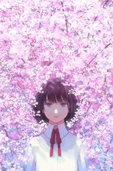Rule 34 | 1girl, blue eyes, brown hair, cherry blossoms, closed mouth, collared shirt, day, expressionless, hiko (scape), looking at viewer, necktie, original, red ribbon, ribbon, shirt, short hair, solo, tree, upper body, white shirt
