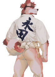Rule 34 | 1boy, absurdres, animal ears, ass, bara, body fur, clothing aside, dog boy, dog ears, dog tail, facial hair, feet out of frame, from behind, fundoshi, fundoshi aside, furry, furry male, goatee, happi, highres, japanese clothes, looking at viewer, looking back, male focus, mature male, muscular, muscular male, original, pink fur, seato-hao, short hair, snout, solo, tail, thick thighs, thighs, white background