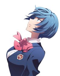 Rule 34 | 1girl, blue eyes, blue hair, bow, bowtie, breasts, cota, looking up, medium breasts, megaton musashi, pink bow, pink bowtie, profile, saotome momoka, school uniform, short hair, simple background, solo, upper body, white background