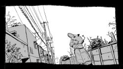 Rule 34 | 1boy, animal, animal on head, border, chainsaw man, child, denji (chainsaw man), eyepatch, fence, from behind, greyscale, highres, hood, hoodie, looking at viewer, looking back, monochrome, on head, pochita (chainsaw man), power lines, shinamoku00, short hair, simple background, sky, utility pole, white background, white sky