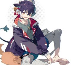 Rule 34 | 1boy, animal, animal ear fluff, animal ears, bandaged leg, bandaged wrist, bandages, bare shoulders, barefoot, bell, bell earrings, black choker, cat, choker, earrings, green hair, green pupils, grey background, jacket, jewelry, karei, looking at viewer, male focus, multicolored clothes, multicolored hair, multicolored jacket, necklace, open mouth, original, own hands together, padded jacket, purple hair, purple jacket, red jacket, single bare shoulder, sitting, smile, tail, tassel, teeth, two-tone jacket, white hair