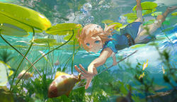 Rule 34 | 1boy, air bubble, belt, blonde hair, blue eyes, blue tunic, blurry, boots, brown footwear, bubble, day, depth of field, fishing, freediving, from side, highres, holding, holding polearm, holding weapon, lily pad, link, looking at another, looking to the side, male focus, minty0, nature, nintendo, seafloor, outstretched arms, pants, pants tucked in, parted lips, plant, pointy ears, polearm, ponytail, reaching, short sleeves, silhouette, solo, spear, submerged, swimming, the legend of zelda, the legend of zelda: breath of the wild, underwater, weapon, white pants