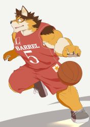 Rule 34 | 1boy, animal ear fluff, animal ears, ball, bara, bare shoulders, barrel (live a hero), basketball, basketball (object), basketball uniform, beige fur, brown fur, dog boy, dog ears, dog tail, full body, furry, furry male, guhze1820, highres, live a hero, looking to the side, male focus, muscular, muscular male, navel, orange fur, pectorals, red shirt, red shorts, running, shirt, shorts, sidepec, sleeveless, sleeveless shirt, smile, solo, sportswear, tail