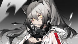 Rule 34 | 1girl, aniao ya, animal ears, arknights, arrow (projectile), arrow in mouth, black hair, black scarf, breasts, cat ears, chinese commentary, cleavage, close-up, closed mouth, commentary request, gradient hair, grey background, grey hair, hair between eyes, highres, hood, hood down, hooded jacket, jacket, long hair, looking at viewer, mouth hold, multicolored hair, ponytail, scarf, schwarz (arknights), see-through, simple background, solo, upper body, very long hair, white jacket, yellow eyes