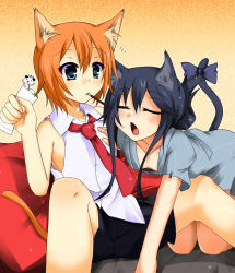 Rule 34 | 2girls, animal ears, bad id, bad pixiv id, blue hair, blush, cat ears, cat tail, character request, downblouse, closed eyes, food, multiple girls, necktie, orange hair, pocky, pocky kiss, shared food, shirasu youichi, source request, tail, yuri