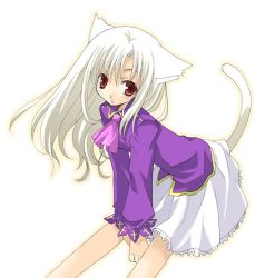 Rule 34 | 00s, animal ears, cat ears, fate/stay night, fate (series), illyasviel von einzbern, red eyes, simple background, solo, white background, white hair