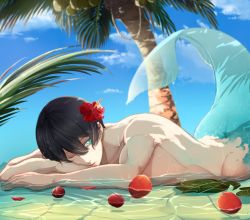 Rule 34 | 10s, 1boy, bad id, bad pixiv id, beach, black hair, blue eyes, day, fins, flower, free!, hair flower, hair ornament, hibiscus, lying, male focus, merman, monster boy, nanase haruka (free!), on stomach, one eye closed, open mouth, palm tree, parted lips, petals, shallow water, solo, tail, tree, water